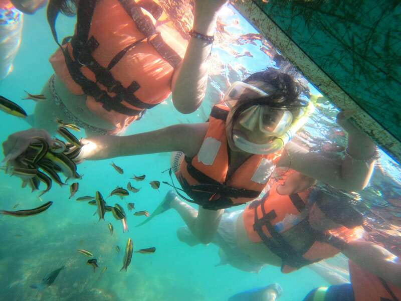 Hermosa Isla de ixtapa - Navigating the Marine Route to the Island