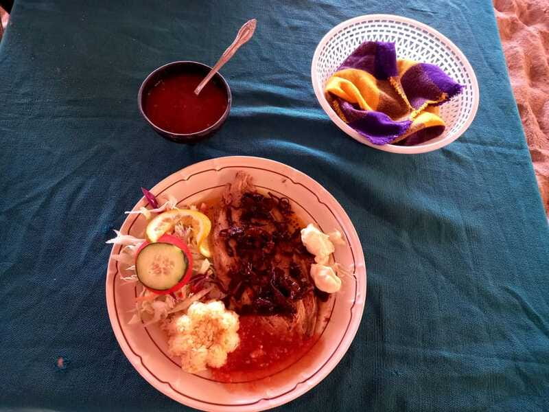 Hermosa Isla de ixtapa - Logistics: Transport, Guides, and Accessibility