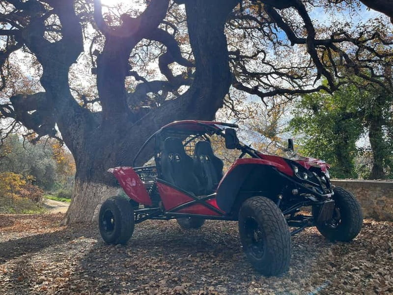 Hersonissos: Buggy Safari Adventure Tour - Convenient Pick-Up and Small Group Experience