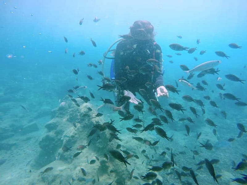 Hersonissos, Stalida: Scuba Diving Experience for beginners - Discover the Beginner-Friendly Scuba Diving in Crete at Nana Golden Beach