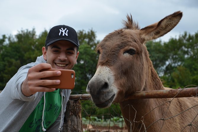 Herzegovina Full Experience in a Day Tour from Mostar - Explore Bosnia and Herzegovina in a Single Day