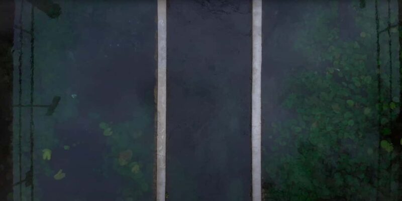 Hévíz Wellness Escape: Thermal Lake Day Trip from Budapest - Free Time for Relaxation and Strolling