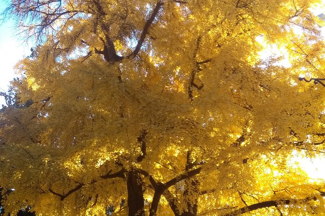 Hidden and fascinating Verona - 3 hour private walking tour - Strolling Under Medieval Porticoed Streets on Via Sottoriva