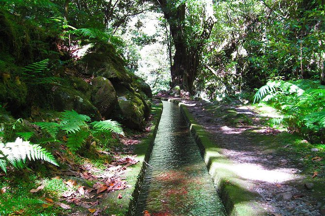 Hidden Corners: Levada Walk from Funchal - Explore Madeira’s Untouched Landscape on the Levada Walk from Funchal