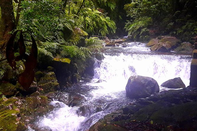 Hidden Corners: Levada Walk from Funchal - A Hidden Waterfall and Peaceful Spot for Reflection