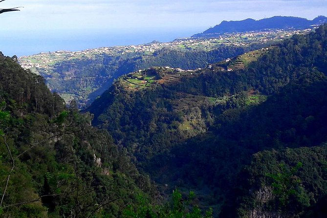 Hidden Corners: Levada Walk from Funchal - Practical Tips for a Successful Levada Walk
