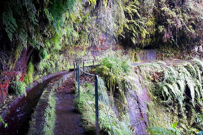 Hidden Corners: Levada Walk from Funchal - The Experience with a Knowledgeable Guide