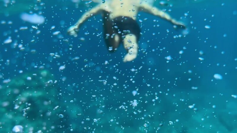 Hidden Coves, Hiking & Snorkeling Adventure in Mallorca - Mallorca’s North Coast: From Soller to Secret Coves