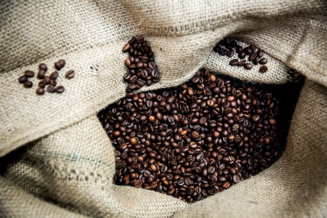 Hidden Flavors of the Hillside: Mouraria & Graça - Logistics and Group Size