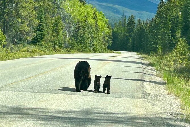 Hidden Gem: The Ultimate Waterton Adventure & Overnight option - Frequently Asked Questions