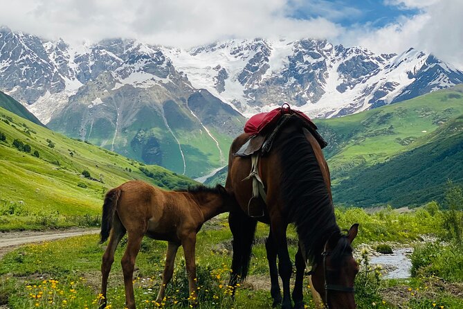 Hidden Gem With Salou Near Tbilisi - Picnic in Nature with Georgian Wine