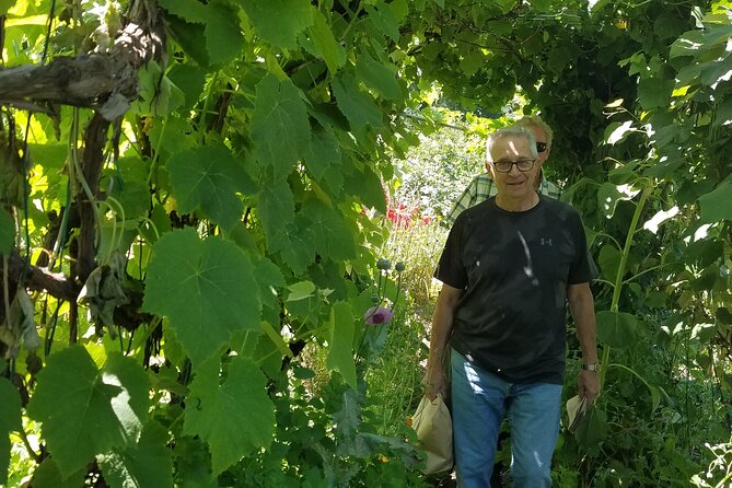 Hidden Gems Adventure in West Sonoma County - Coastal Picnic with Local Flavors and Wine