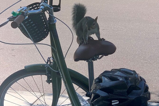 Hidden Gems Foodie Bicycling Tour of Downtown St Petersburg - Wine and Appetizer at Draculas Legacy Wine Bar