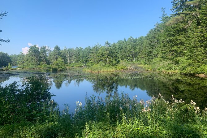 Hidden Harbor E Bike Tour of Boothbay Harbor - The Guides and Their Storytelling Style