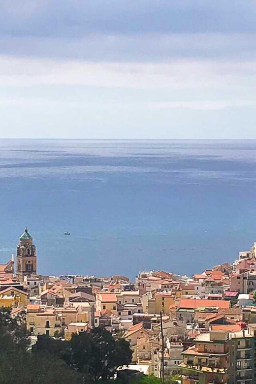 Hidden Lemon Tour & Tasting in the Amalfi Organic Lemon Farm - Variety of Lemons and Their Significance