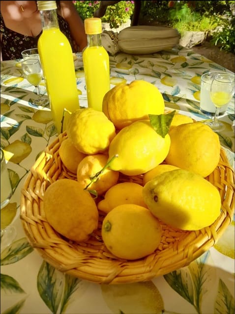 Hidden Lemon Tour & Tasting in the Amalfi Organic Lemon Farm - Who Will Enjoy This Tour Most