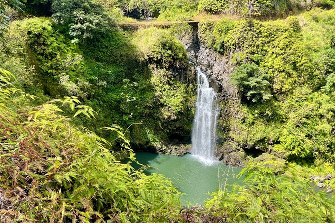 Hidden Waterfall Adventure in Your Rental  Private Tour - Scenic Drive into the Maui Rainforest