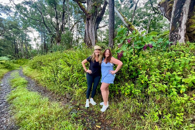 Hidden Waterfall Adventure in Your Rental  Private Tour - Guided Hike through Lush Tropical Forest