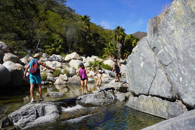 Hidden Waterfalls Hiking Adventure - The Physical Demands and Best Suitability