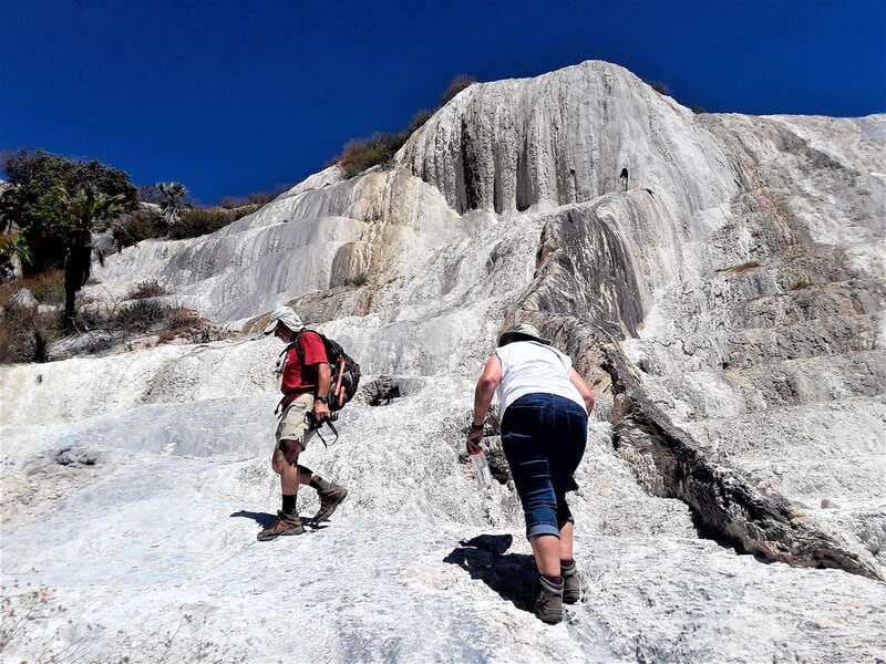 Hierve el agua: A Day of Adventure, Culture, and Flavor - Marveling at the Tule Tree: A Natural Giant