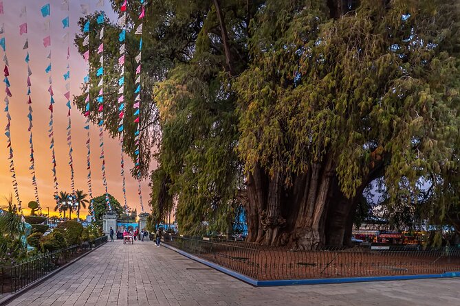 Hierve el Agua Artisanal Route with Mezcal and Oaxacan Food - Authentic Oaxacan Buffet Lunch in San Pablo Villa de Mitla