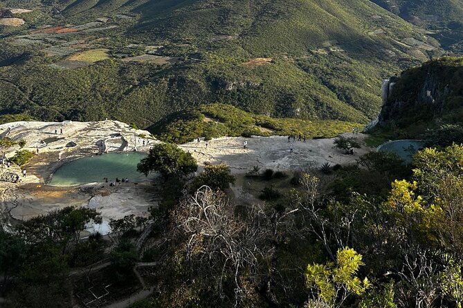Hierve el Agua Artisanal Route with Mezcal and Oaxacan Food - Mezcal Tasting at El Rey de Matatlán