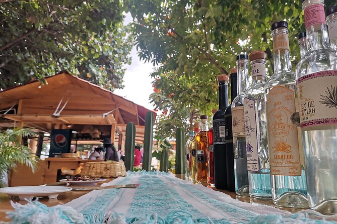 Hierve el Agua Guided Full Day Tour in Oaxaca - Tour Logistics and Group Dynamics