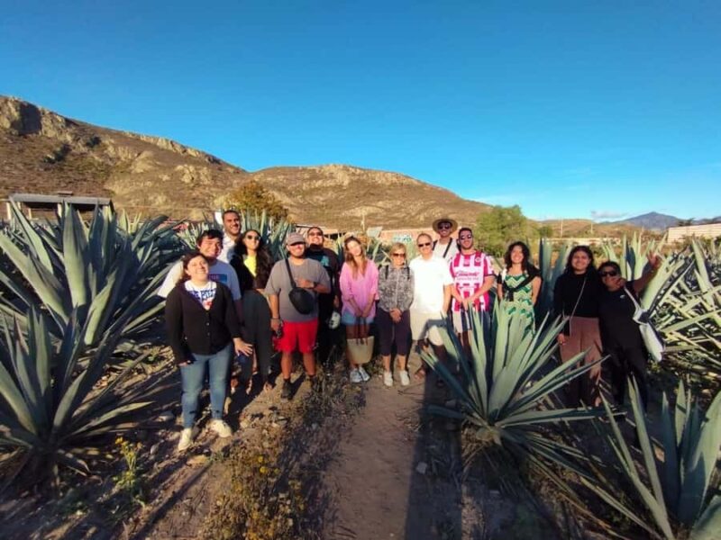 Hierve el Agua, Mitla, El Tule Tree, Rugs, Mezcal Distillery Tour - Lunch and Rest at a Local Restaurant