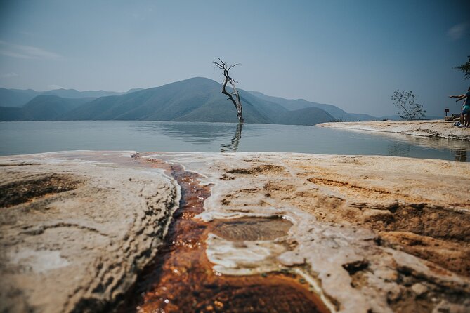 Hierve el Agua & More... All Included Guided Day Tour from Oaxaca - Santa Maria del Tule: Witness the World’s Widest Tree
