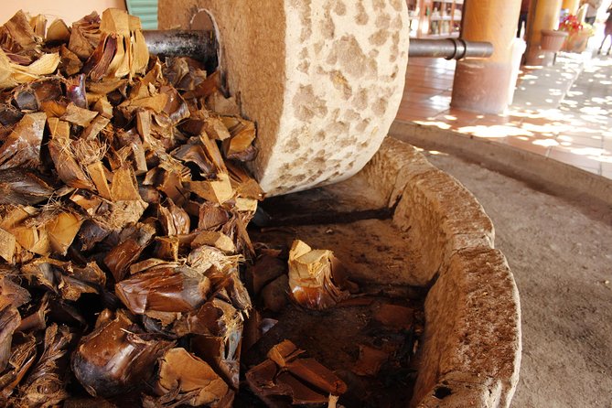 Hierve el Agua, Teotitlán del Valle, mezcal, el tule, desde Oaxaca - Practical Tips for Participants