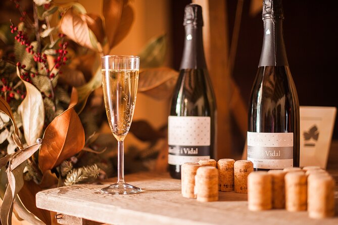High-End Vineyard Escape: Cava, Tapas & Wine | Private Tour - Guided Tour of the Wineries: Expertise and Personal Attention