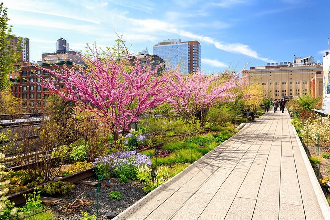 High Line and Chelsea Districts Walking Tour in New York - Value and Booking Considerations