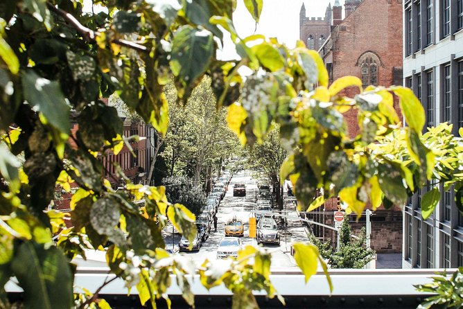 High Line and Chelsea Small Group Tour - The High Line: An Elevated Park with Stunning Views