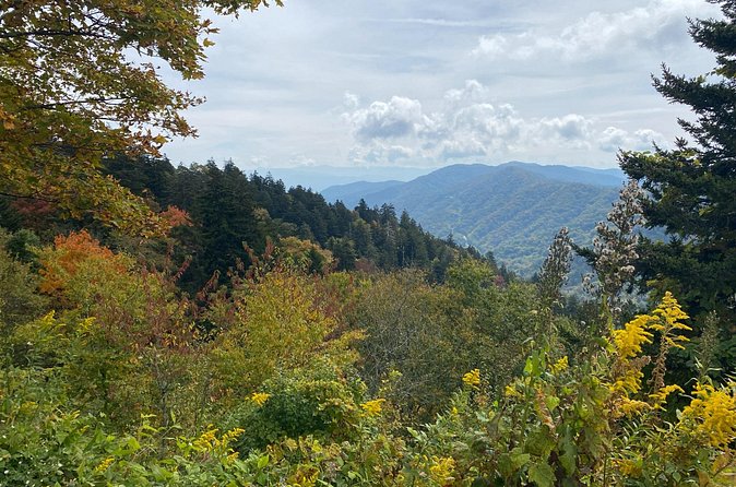 High Points Driving Tour - The Experience at Kuwohi and Clingmans Dome