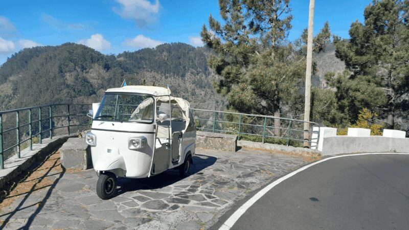High West Van Guided Tour Madeira (from Funchal) - Discover Madeira’s Rugged West Landscapes