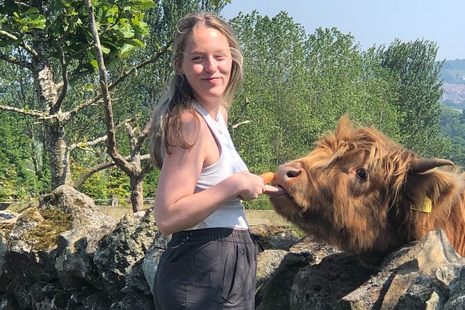 Highland Cows, Walk Alpacas & Scottish Wildlife Centre from Edin. - Personalised Transport and Comfort Throughout the Day