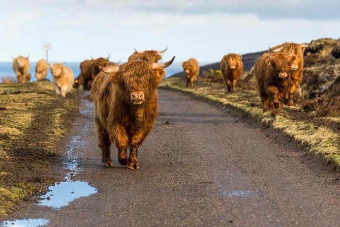 Highlands + Glencoe + Loch Ness Private Tour - Visiting Loch Ness and Searching for Nessie