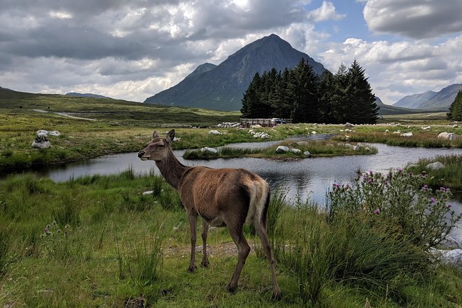 Highlands Private One Day Tour of Scotland - The Experience of the Guides: Rowan & Andy Mackie