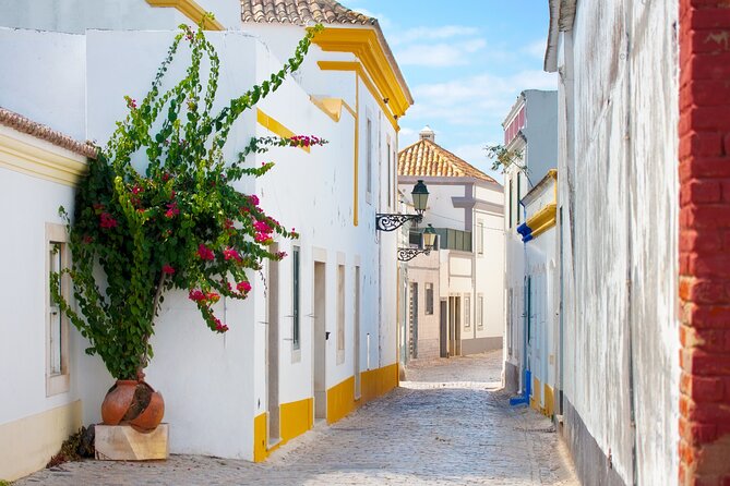 Highlights & Hidden Gems of Faro Private Tour - Discover Hidden Spots and Local Treasures