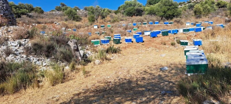 Highlights of Crete-Tour to Knossos Lasithi Rethymno&Chania - Highlights of the Crete-Knossos, Lasithi, Rethymno & Chania Tour