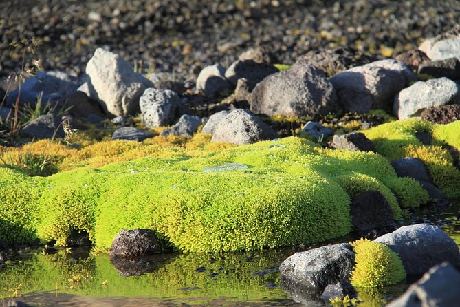 Highlights of Iceland / private guided super Jeep tour - Marveling at Hraunfossar Waterfalls