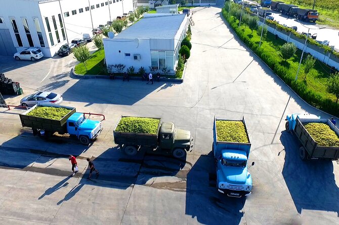 Highlights of Kakheti region-Signagi,Bodbe,Wine tasting(Private Tour) - The Wine Tasting Experience at the Factory