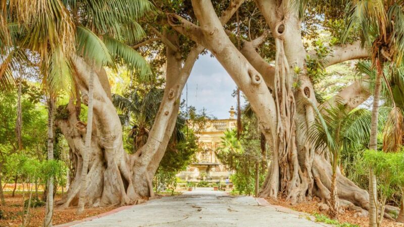 Highlights of Malta Tour:Icons and Experiences of the Island - Key Points