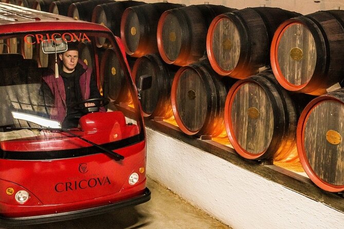 Highlights of Moldova - 3 destinations in 1 day-Small Group Tour - Pacing, Physical Demands, and Accessibility