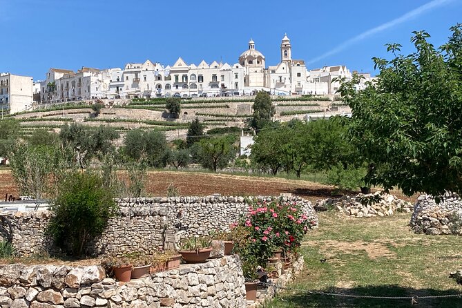 Highlights of Puglia: Bari, Alberobello and the charming villages - Convenient Logistics and Customizable Experience