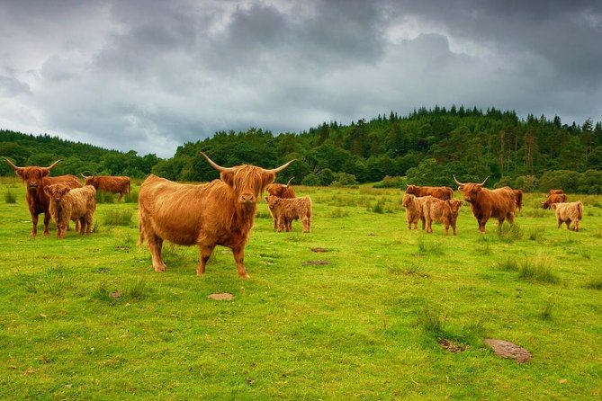 Highlights of Scotland Custom Private Tour With Scottish Local - Deanston Distillery & Visitor Centre: Whisky with a Twist
