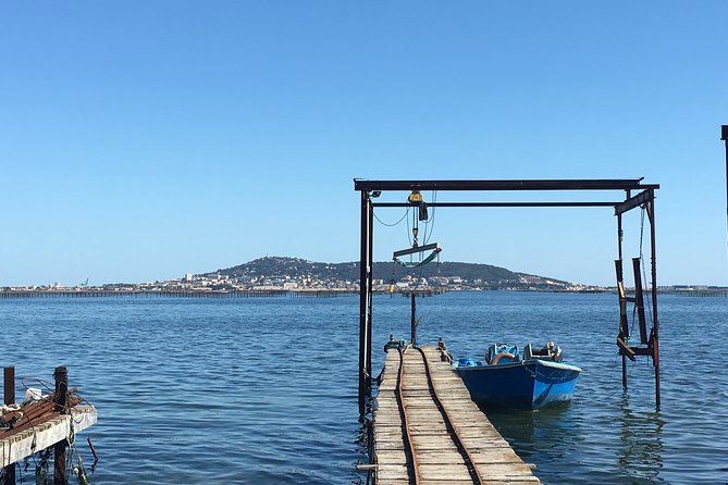 Highlights of Sète, food and wine tour - Logistics and Practical Details