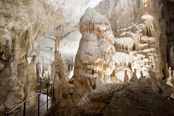 Highlights of Slovenia - Postojna & Bled (Tickets included) - Postojna Cave: A Journey into the Underground Realm
