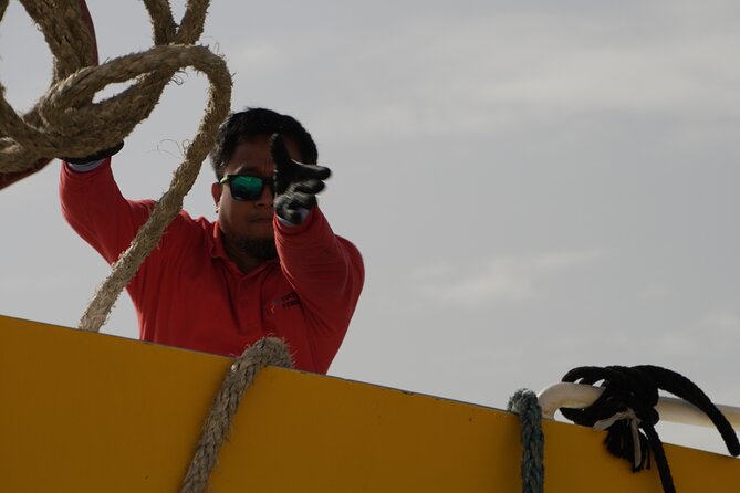 Highspeed Catamaran Crossing Between Malta and Gozo - Booking and Departure Flexibility