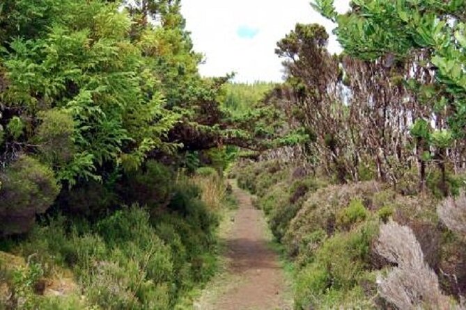 Hike 3 hours Inland Terceira Island - Explore the Pristine Trails of Terceira Island for $69.46